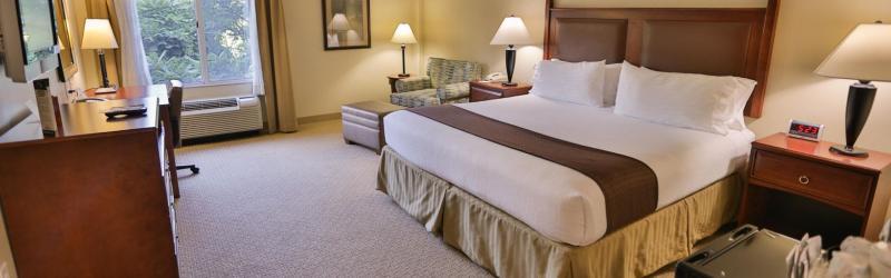 Holiday Inn Express & Suites Asheville Downtown By Ihg Kültér fotó